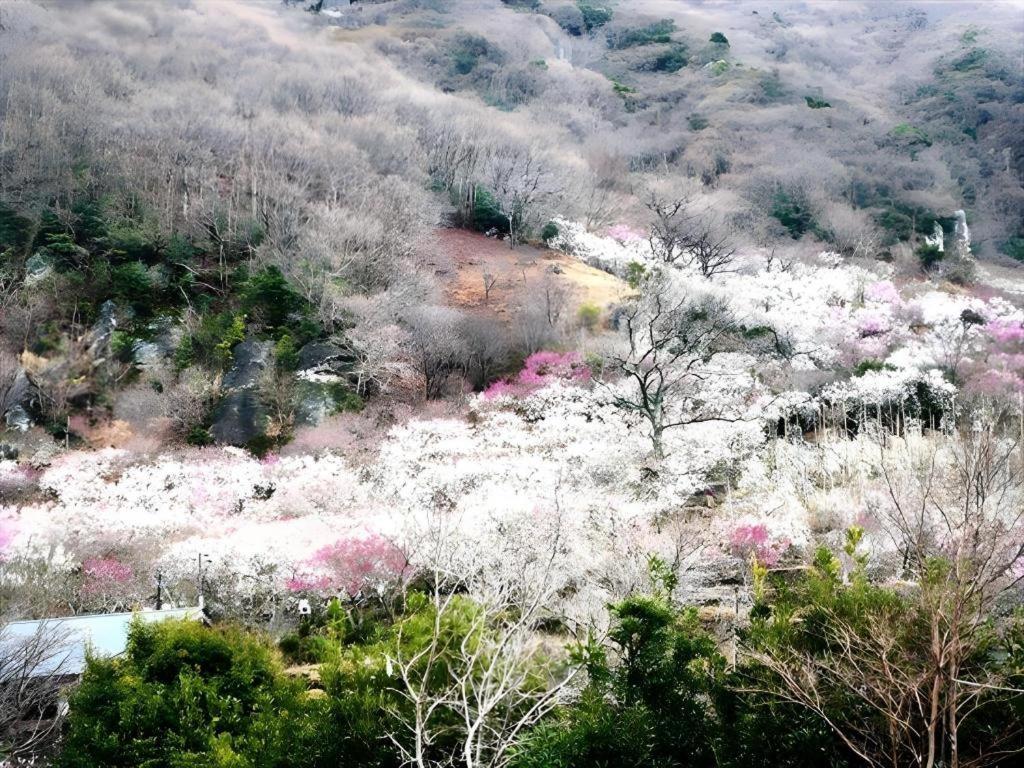Corredor Yugawara Dog＆Resort Atami  Exterior photo